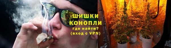 прущая мука Иннополис