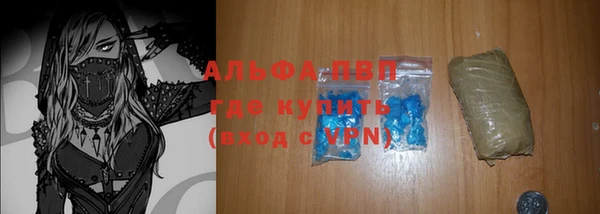 спиды Инта