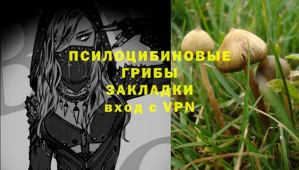 скорость Инсар