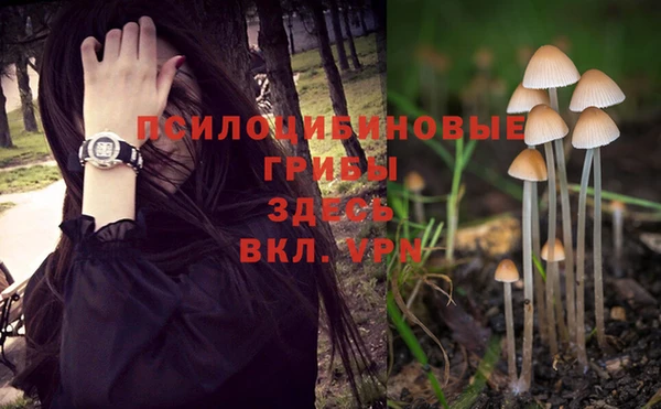 скорость Инсар