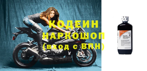 спиды Инта