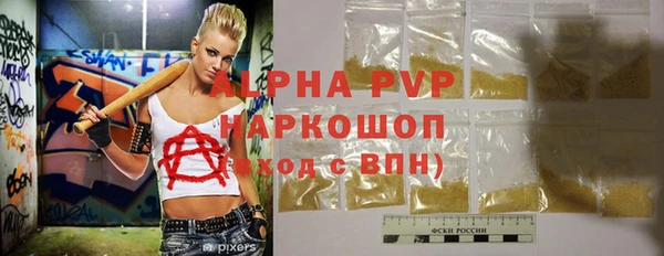 спиды Инта