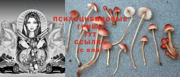 скорость Инсар