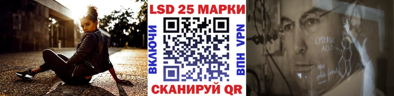Марки N-bome 1500мкг Каргополь