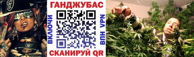 Бошки марихуана марихуана  Каргополь 